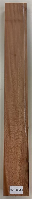 Neck Platane europ., 905x105x49mm Unique Piece #003